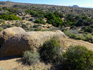 photo thumbnail #15