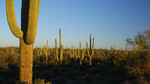 photo thumbnail #1
