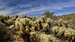 photo thumbnail #9