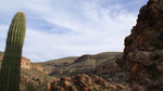 photo thumbnail #12