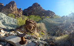 photo thumbnail #15