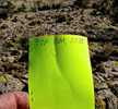 photo thumbnail #14