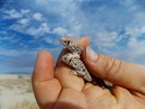 photo thumbnail #11