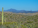photo thumbnail #4