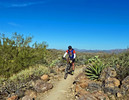 photo thumbnail #7