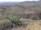 photo thumbnail #6