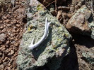 photo thumbnail #7