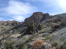 photo thumbnail #8