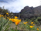 photo thumbnail #9