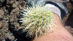 photo thumbnail #9