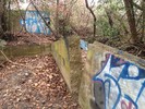 photo thumbnail #9