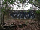 photo thumbnail #12