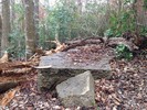 photo thumbnail #14