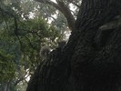 photo thumbnail #15