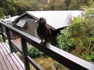 photo thumbnail #14
