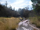 photo thumbnail #11