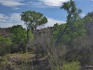 photo thumbnail #12