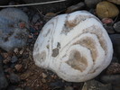 photo thumbnail #14