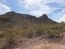 photo thumbnail #1