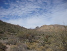 photo thumbnail #3