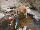 photo thumbnail #5