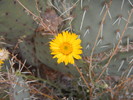 photo thumbnail #1