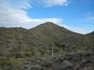 photo thumbnail #7