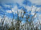 Featured Full Photo
