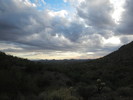 photo thumbnail #13