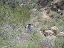 photo thumbnail #2