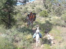 photo thumbnail #8