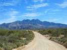 photo thumbnail #1
