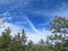 photo thumbnail #10