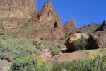 photo thumbnail #10