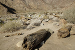 photo thumbnail #3