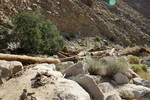 photo thumbnail #8
