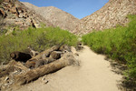 photo thumbnail #12