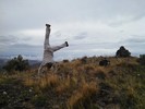 photo thumbnail #5