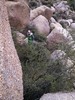photo thumbnail #7