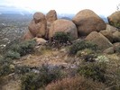 photo thumbnail #8