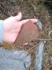 photo thumbnail #11