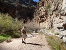 photo thumbnail #8