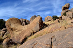 photo thumbnail #4