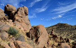 photo thumbnail #2