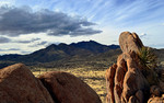 photo thumbnail #8