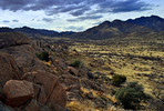 photo thumbnail #9