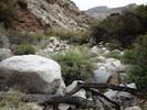 photo thumbnail #4