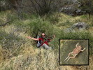photo thumbnail #6