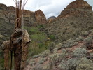 photo thumbnail #8