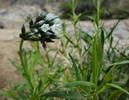 photo thumbnail #11